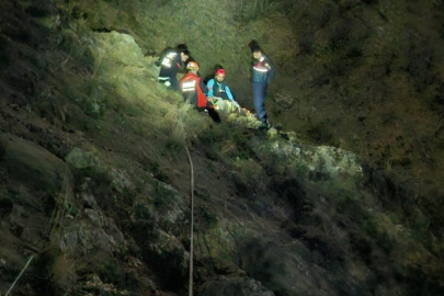 Mantar toplamaya giden adamın başına gelmeyen kalmadı!