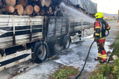 Tomruk Yüklü TIR Alevlere Teslim Oldu