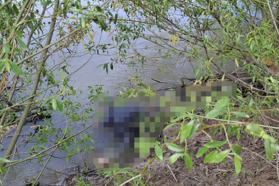 Asi Nehri’nde korkunç manzara! Erkek cesedi bulundu
