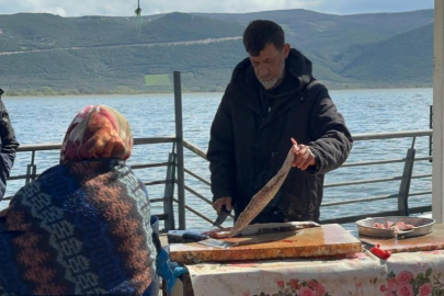 Ulubat Gölü'nde su çok olunca yakalanamayan turna sezonu pahalı açıldı
