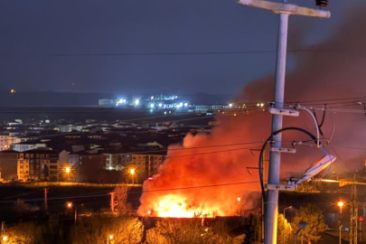 Arazide çıkan yangın, paniğe sebep oldu