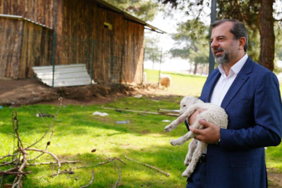 Gürsu Butik Hayvanat Bahçesi yeni sakinlerini ağırlıyor