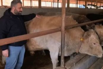 Tonluk 'Paşa' 500 bin lira