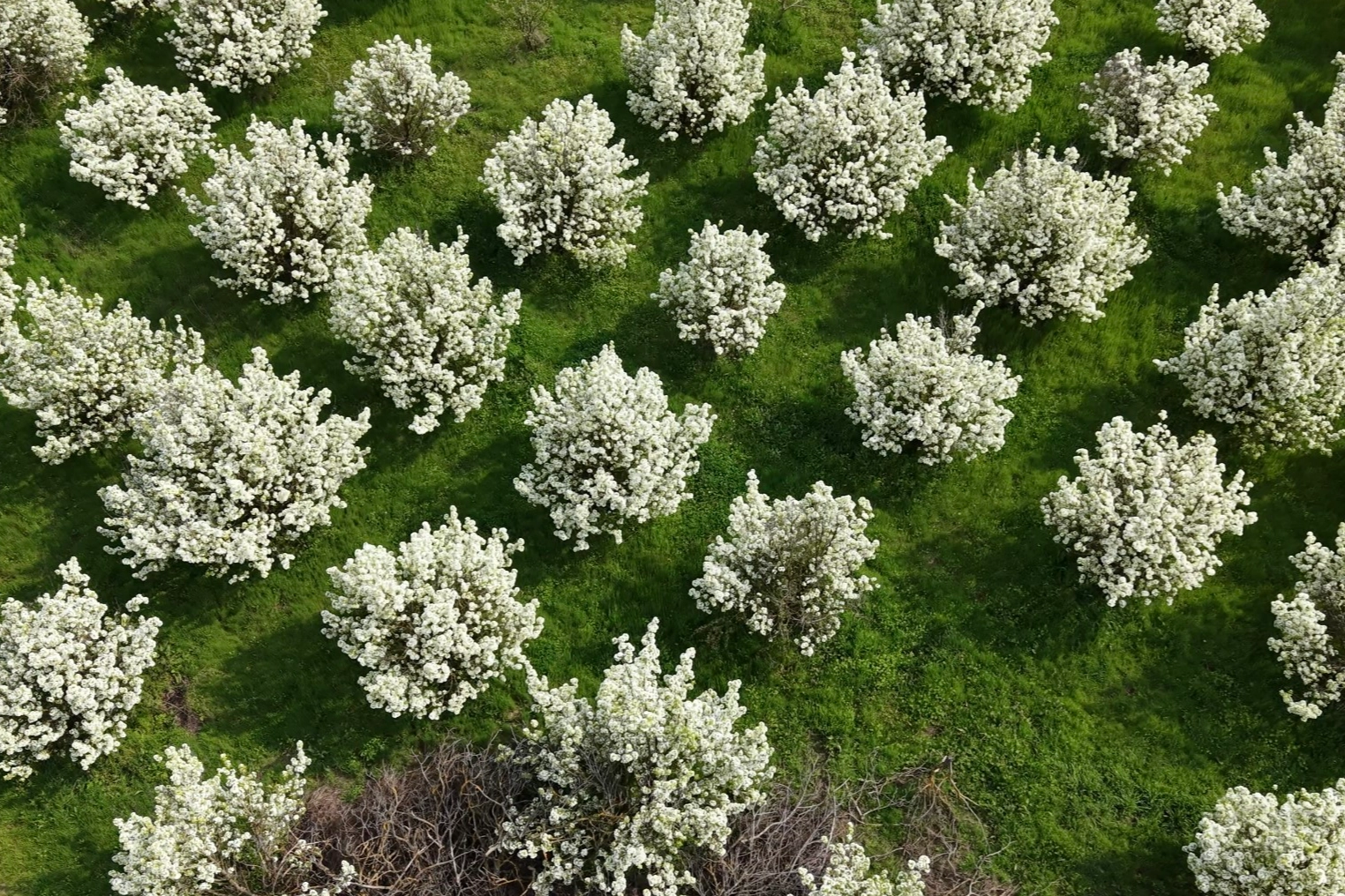 Bursa'da kartpostallık görüntüler