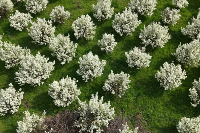 Bursa'da kartpostallık görüntüler