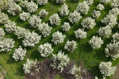 Bursa'da kartpostallık görüntüler