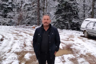 Kestiği ağaç üzerine devrildi: 1 ölü