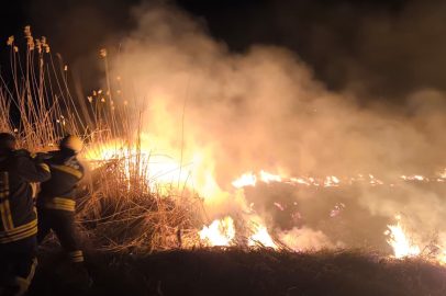 Anız Yangını Panik Yarattı