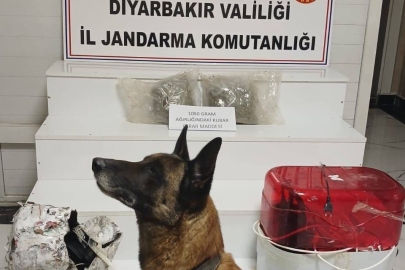 Uyuşturucuyu öyle bir yere sakladı ki…