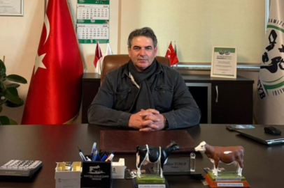 Meclis üyesine kadına şiddetten ev hapsi