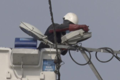 Sokak lambaları kuşlara yuva oldu