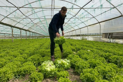 Bu sefer tarladan güzel haber geldi