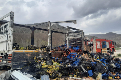 Çilek Yüklü Kamyon Alev Alev Yandı