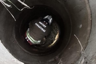 Kuyuya Düşen Köpeğin Yardımına İtfaiye Ekipleri Yetişti