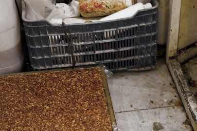 Skandal üretimde mide bulandıran görüntüler!