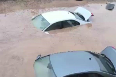 Araçlar sel sularına gömüldü! Onlarca hayvan telef oldu