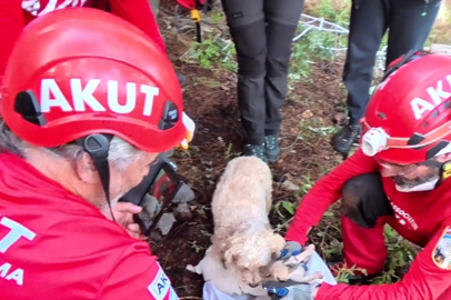 6 yavru 20 metrelik ve bir insanın girebileceğinden dar alandan 2 saatlik çalışmayla çıkartıldı