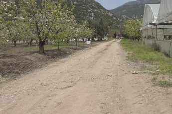 Bu sefer tarladan güzel haber geldi...35 liraya tarladan satılan marul yüzleri güldürdü