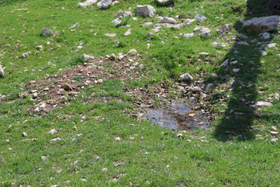 Gülistan'ın ilk mezarı olduğu iddia edilmişti, o alan görüntülendi