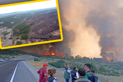 Bursa'da tarihin en büyük orman yangınında yaralar böyle sarıldı