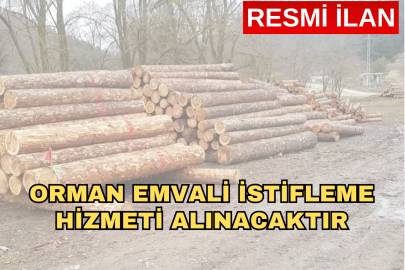ORMAN EMVALİ İSTİFLEME HİZMETİ ALINACAKTIR