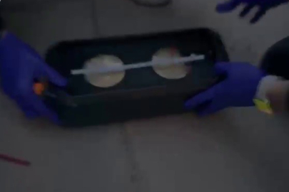 Hatay'da Uyuşturucu Operasyonu