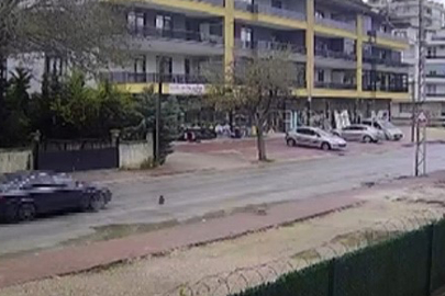 Konya'da ölen kedinin peşindeki yavrusunun yanından ayrılmadığı anlar güvenlik kamerasına yansıdı