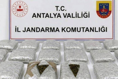 Zehir tacirlerine operasyon! 30 kilo skunk ele geçirildi