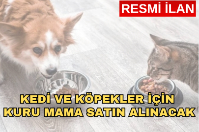 KEDİ VE KÖPEKLER İÇİN KURU MAMA SATIN ALINMASI