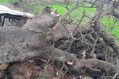 Hakkari'de Acı Olay