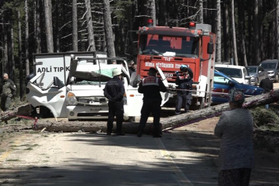 Uludağ'da inanılmaz olay