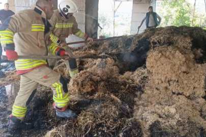 Samanlık Alevlere Teslim Oldu