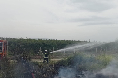 Zeytinlik Yangını Panik Yarattı