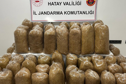Hatay'da jandarmadan büyük temizlik