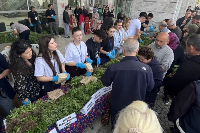 Bursa'da ücretsiz fide izdihamı