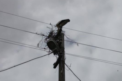 Elektrik telleri üzerine yuva yapan leylekler için, yeni yuva yapıldı