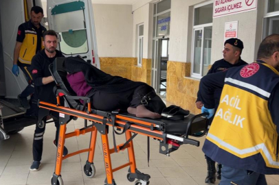'İneğin bostanıma girdi' kavgası kanlı bitti, 1 kişi öldü, 3 kişi yaralandı