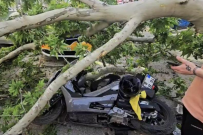 Devrilen ağacın altında kalan motosiklet sürücüsünün durumu ağır