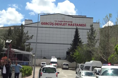 Piknikte akrep paniği: Kadın hastanelik oldu