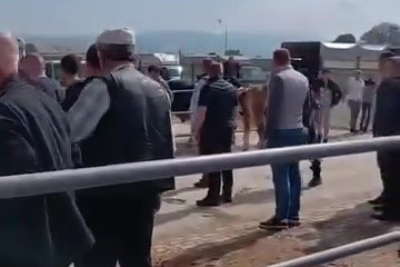 Kurban pazarında kavga: Jandarma havaya ateş açtı, kadın astsubay araya girdi