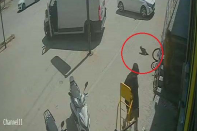 Yabancı uyruklu şahıs kedinin üzerine bastı, köpeği tekmeledi