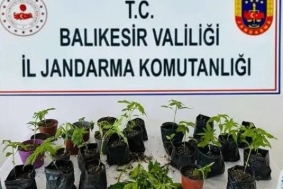 Erdek'te Uyuşturucu Operasyonu