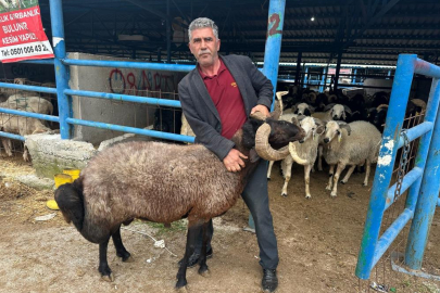 Bursa'daki kurbanlık pazarında hareketlilik