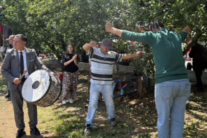 Davullu zurnalı erik hasadı