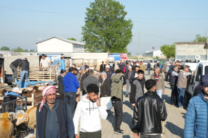 Yenişehir Kurban Bayramı’na Hazır: Hayvan Pazarı ve Mezbaha Modernize Edildi