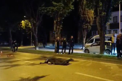 Abi kardeş 4 yıl sonra benzer kazada hayatını kaybetti...