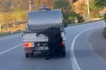 Kurbanlığı araçtan sarkıtıp kilometrelerce sürükledi