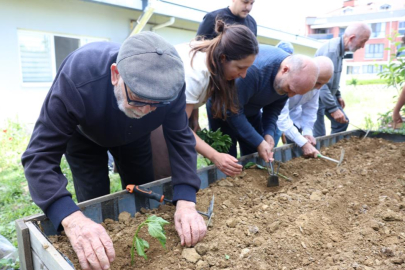Huzurevi ve Alzheimer Konukevi Sakinleri Fideleri Toprakla Buluşturdu