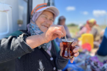 Tarlada yoruluyorlar odun ateşinde matarada çayla dinleniyorlar