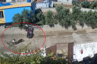 Motosikletle bahçe duvarına çarpan gençler hafif yaralandı